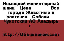 Немецкий миниатюрный шпиц › Цена ­ 60 000 - Все города Животные и растения » Собаки   . Чукотский АО,Анадырь г.